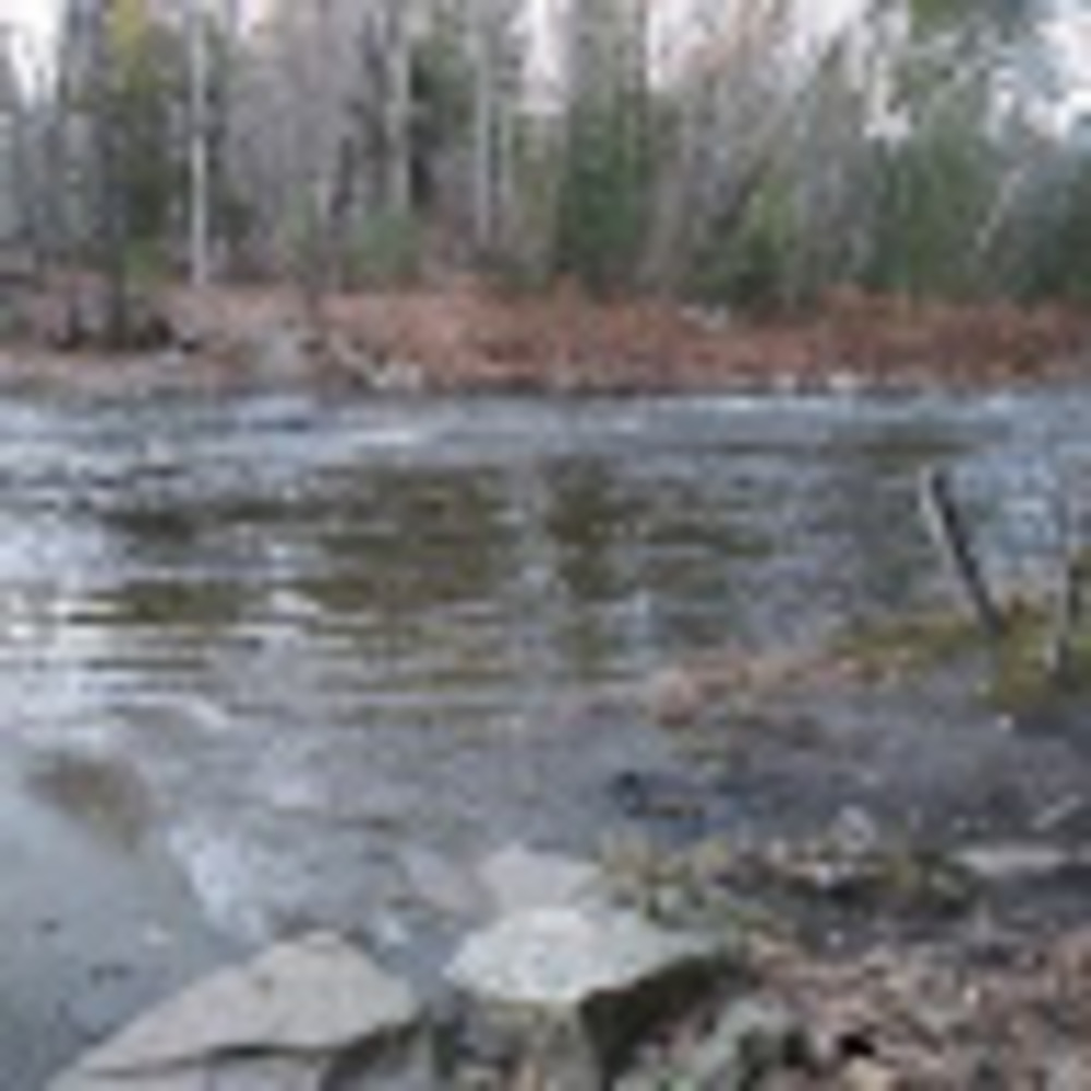 Meet your Posher, Jean